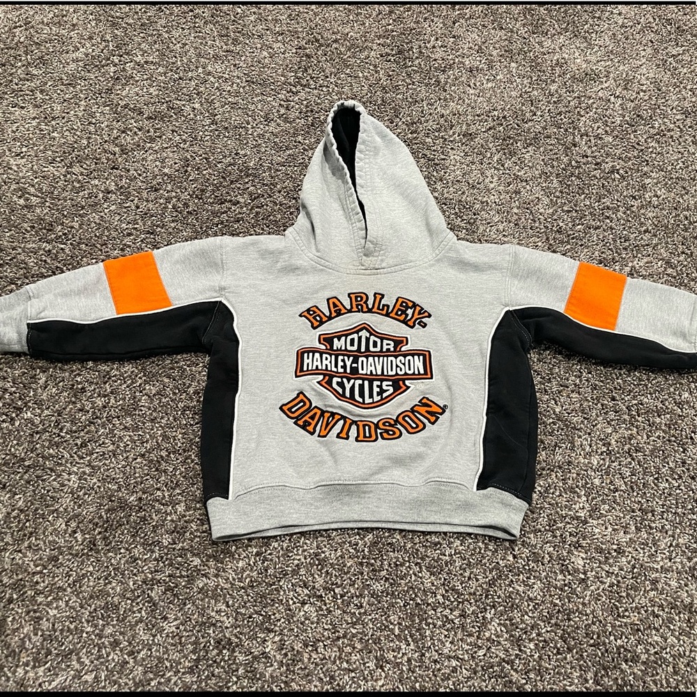 Harley Davidson Hoodie Sweatshirt 3T Gray